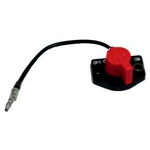 switch parazzini 066 00003 71