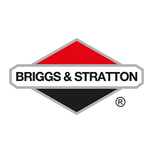 briggs stratton