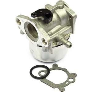 carburador briggs stratton 799868