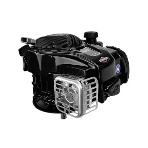 motor-briggs-stratton-09p6020080h5