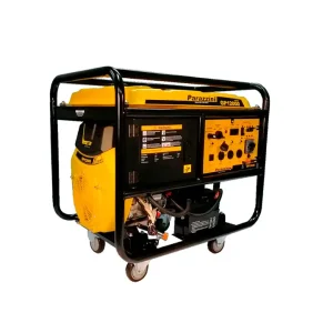generador-parazzini-gp12000-1 Generador Parazzini GP12000