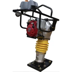 bailarina-parazzini-pbh100-3 bailarina parazzini pbh100 3